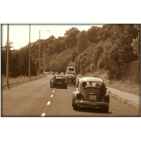fot.Artek 036
