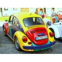 fot.Artek 041