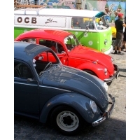fot.Artek 079