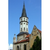 fot.Artek 089