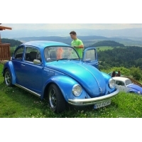 fot.Artek 203