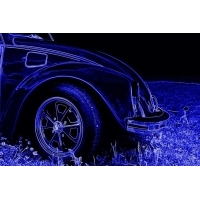 fot.Artek 209