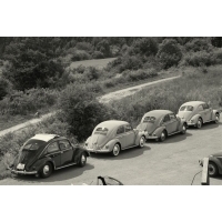 fot.Artek 220