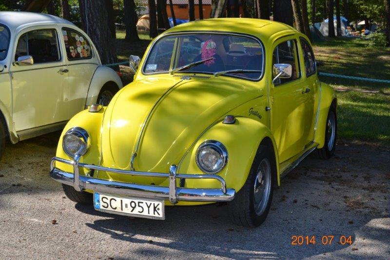 fot.Ovalik