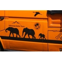 fot.Artek 035