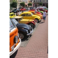 fot.Artek 193