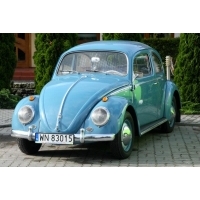 fot.Artek 007