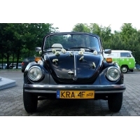fot.Artek 015