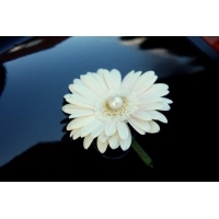 fot.Artek 038