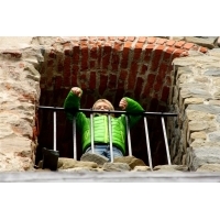 fot.Artek