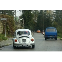 fot.Artek