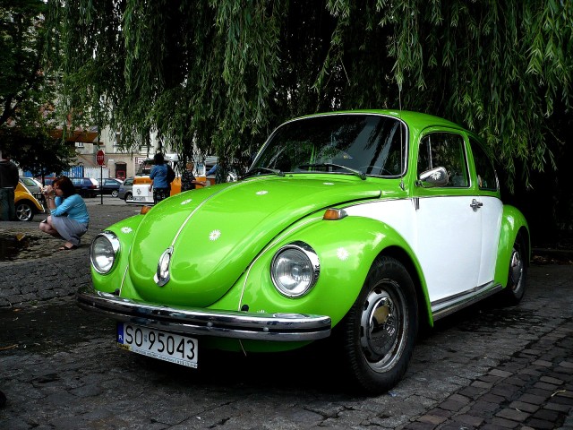 fot.Justyna Lasek