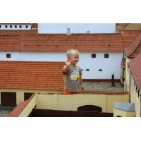 fot.Artek