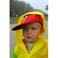 fot.Artek