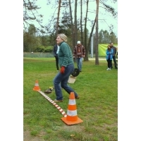fot.Artek