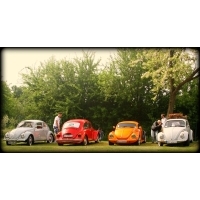 fot.Artek 049