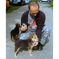 fot.Artek 084
