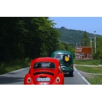 fot.Artek 109