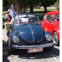 fot.Artek 096