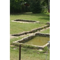 fot.Artek 204