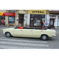 fot.Artek 208