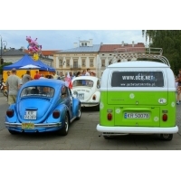 fot.Artek 209