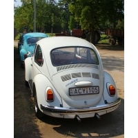 fot.Artek 018