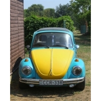 fot.Artek 037