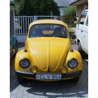 fot.Artek 100