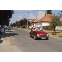 fot.Artek 128
