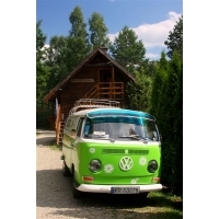 fot.Artek 440