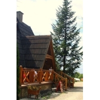 fot.Artek 441