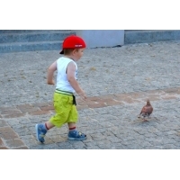 fot.Artek 034