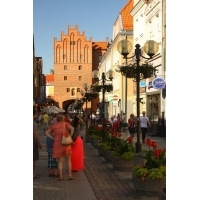 fot.artek 487