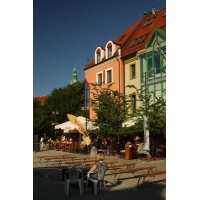 fot.artek 490