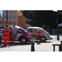 fot.artek 545