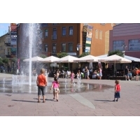 fot.artek 551