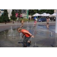 fot.artek 565