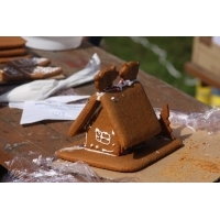 fot.Artek 058