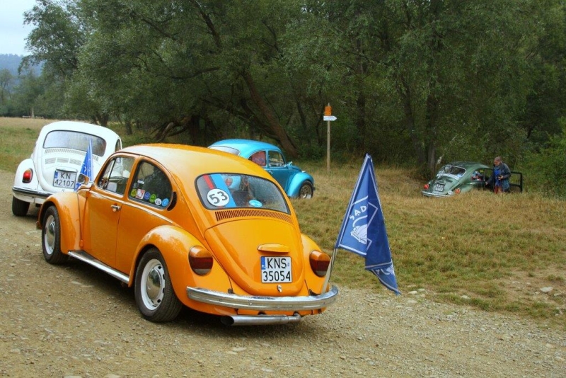 fot.Artek 028