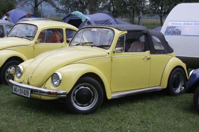 fot.Artek (canon) 237.jpg