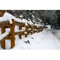 fot.Artek 021.jpg
