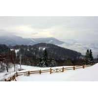 fot.Artek 029.jpg