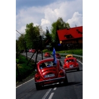fot.Artek 022.jpg