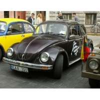 fot.Artek 175.jpg