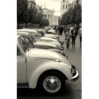 fot.Artek 251.jpg