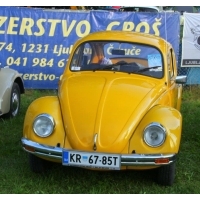 fot.Artek