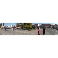 fot.Szogun
