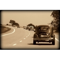 fot.Artek