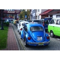 fot.Artek